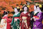 Tìm hiểu về Maiko - Geisha những nàng kỹ nữ của Nhật Bản