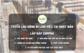 Tuyển dụng lao động Lắp ráp Cốp pha đi làm việc tại Nhật Bản.